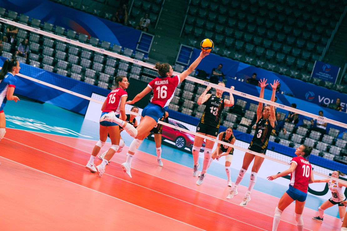 Mlejnková1